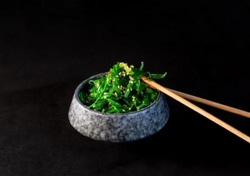 Seaweeds